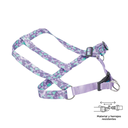 ArnesCaminataBrunno5.webp