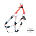 ArnesCaminataBrunno4YV-XS.webp