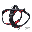 PecheraRexR74-M.webp
