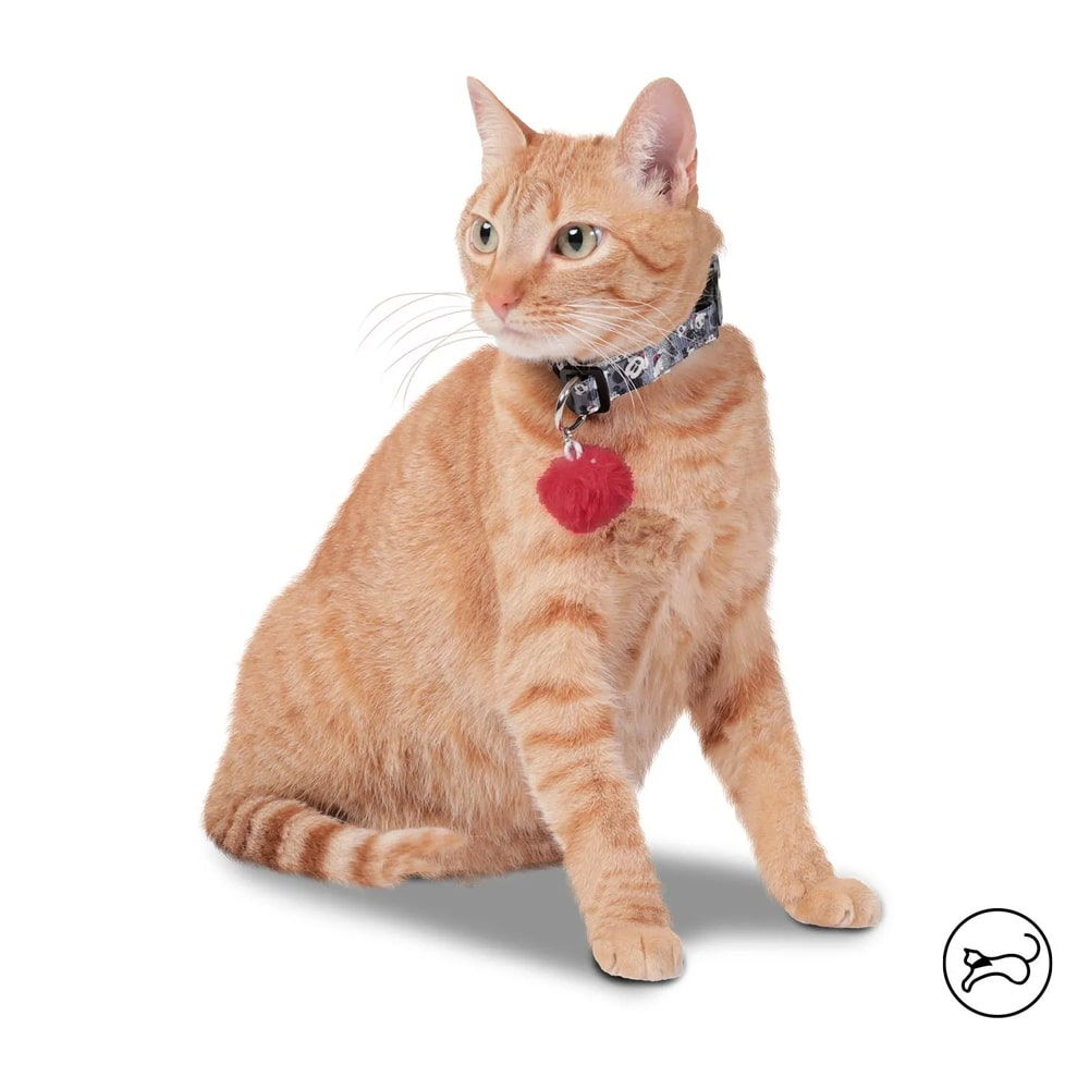 CollarMichiDisney5Y1-gato.webp
