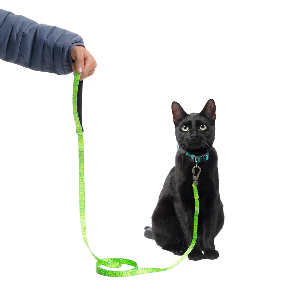 PDCOMS1001-241-2ANS_2.jpg.webp