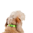 PDCLAJ1003-241-2ANM_2.jpg.webp