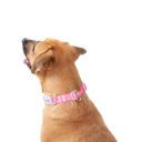 PDCLAJ1005-241-9ILXL_2.jpg.webp