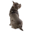 ArnesCaminataBrunnoN01-2.webp