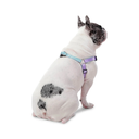 ArnesCaminataBrunnoM1Q-2.webp