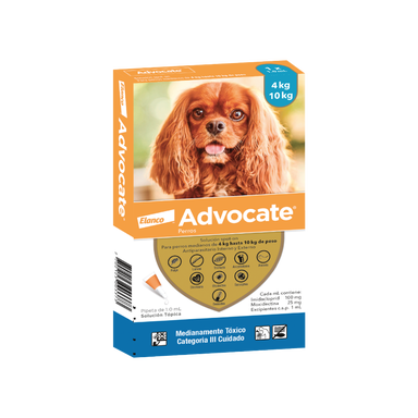 ADVOCATE PERROS 4 - 10 KG