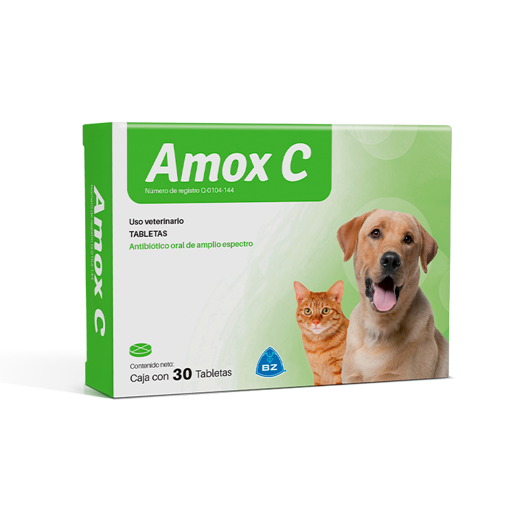 AMOX C TABLETAS