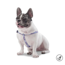 ARNES DE CAMINATA BRUNNO/XS/3QT/