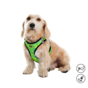 ARNES DE CAMINATA PECHERA TOBY/M/2AN/