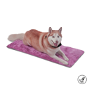 CAMA PORTATIL SHERPY/L/M89/