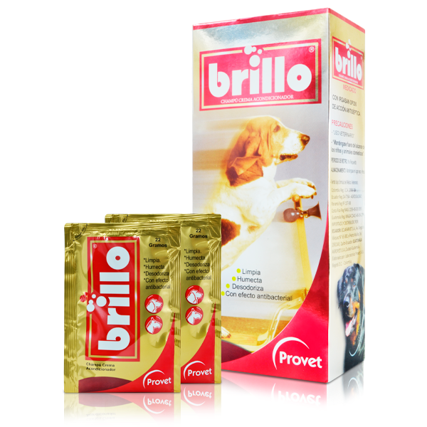 [C000609] CHAMPU BRILLO SOBRE * 22 GR