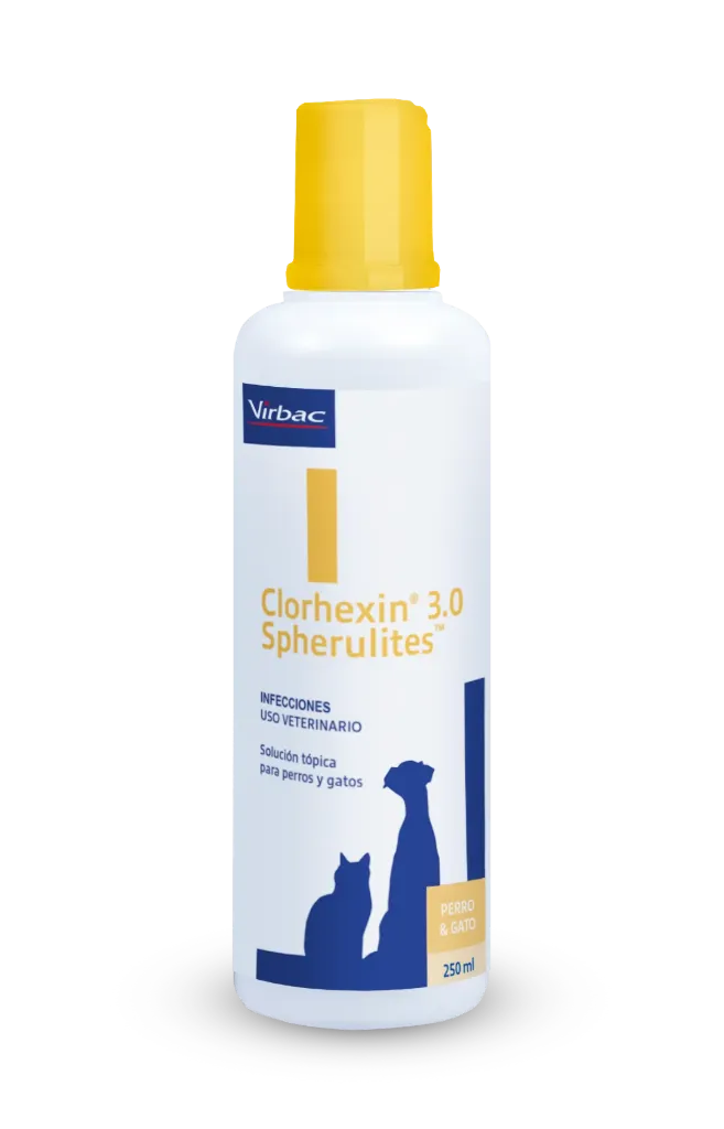 [C000613] CHAMPU CLORHEXIN 3.0 * 250mL