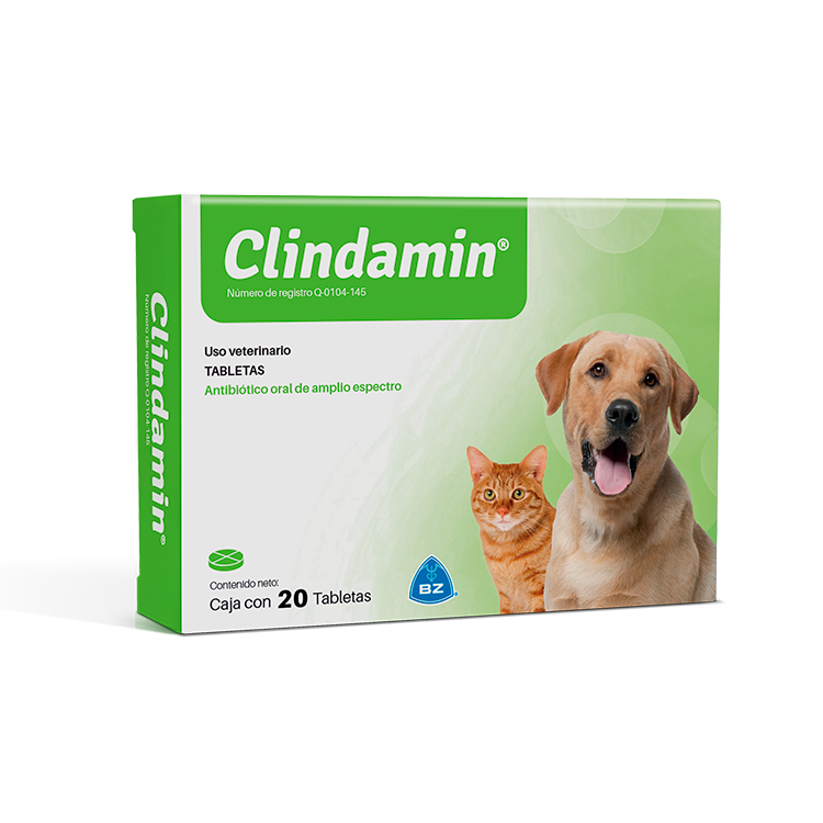 CLINDAMIN TABLETA
