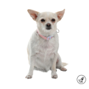 COLLAR AJUSTABLE MYLU/S/P56/