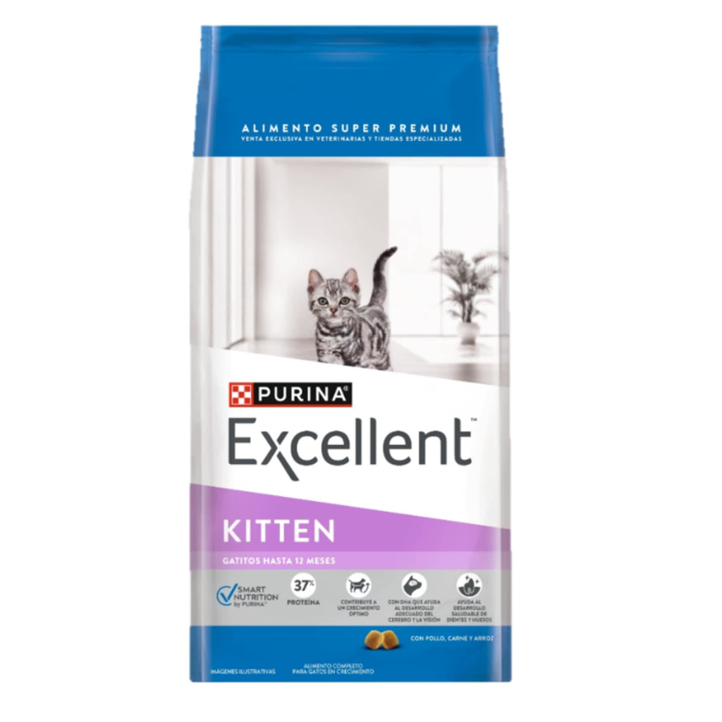 [C000970] EXCELLENT KITTEN