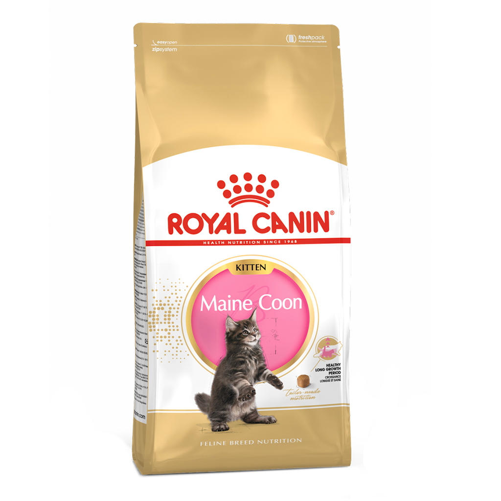 ROYAL CANIN FBN MAINE COON KITTEN
