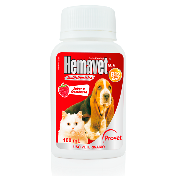 [C001279] HEMAVET B12 ORAL * 100 ML PETS