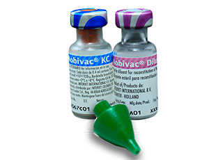[C001596] NOBIVAC KC INTRANASAL + APLICADOR