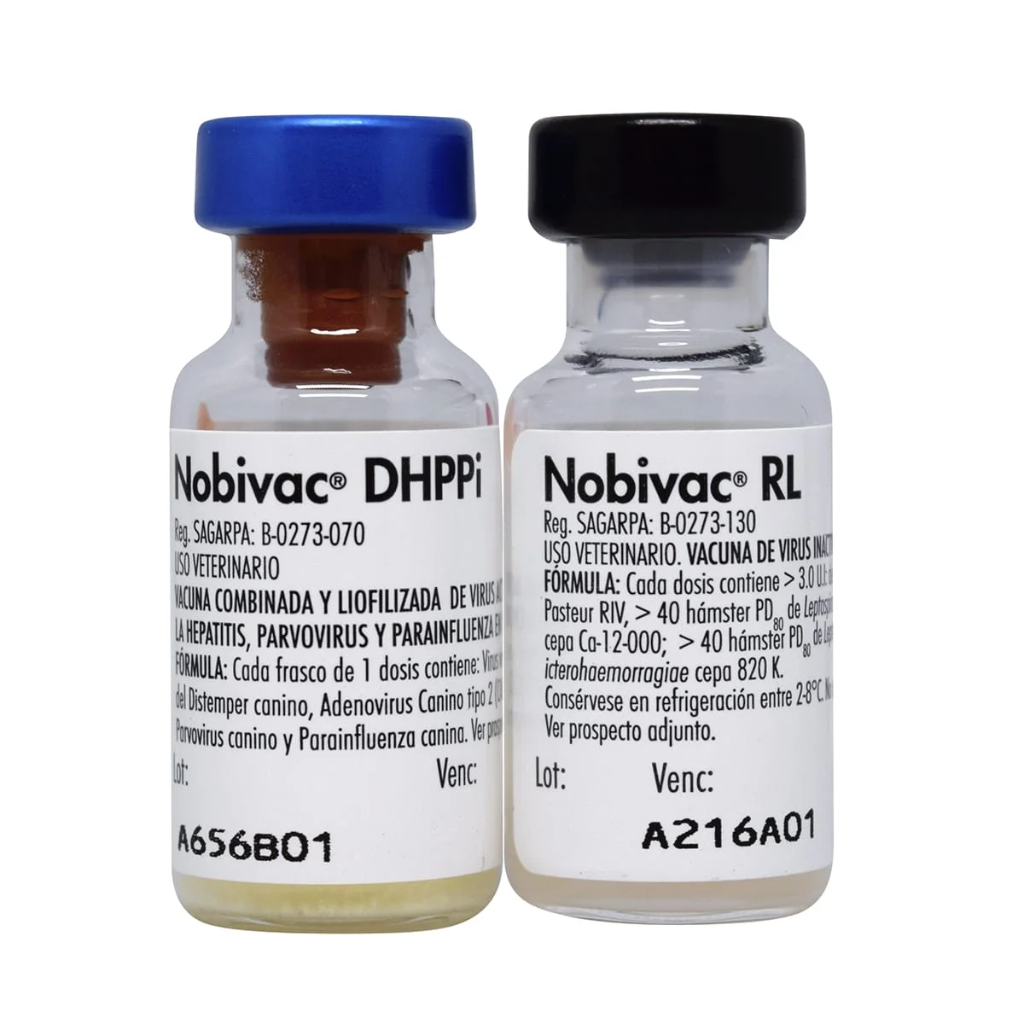 [C001600] NOVIBAC DHPPi + RL (SEXTUPLE)