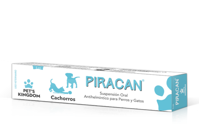 PIRACAN PUPPY
