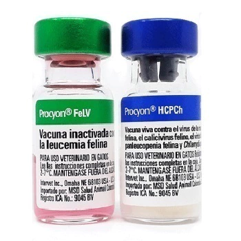 [C001787] PROCYON TRIPLE FELINA + LEUCEMIA