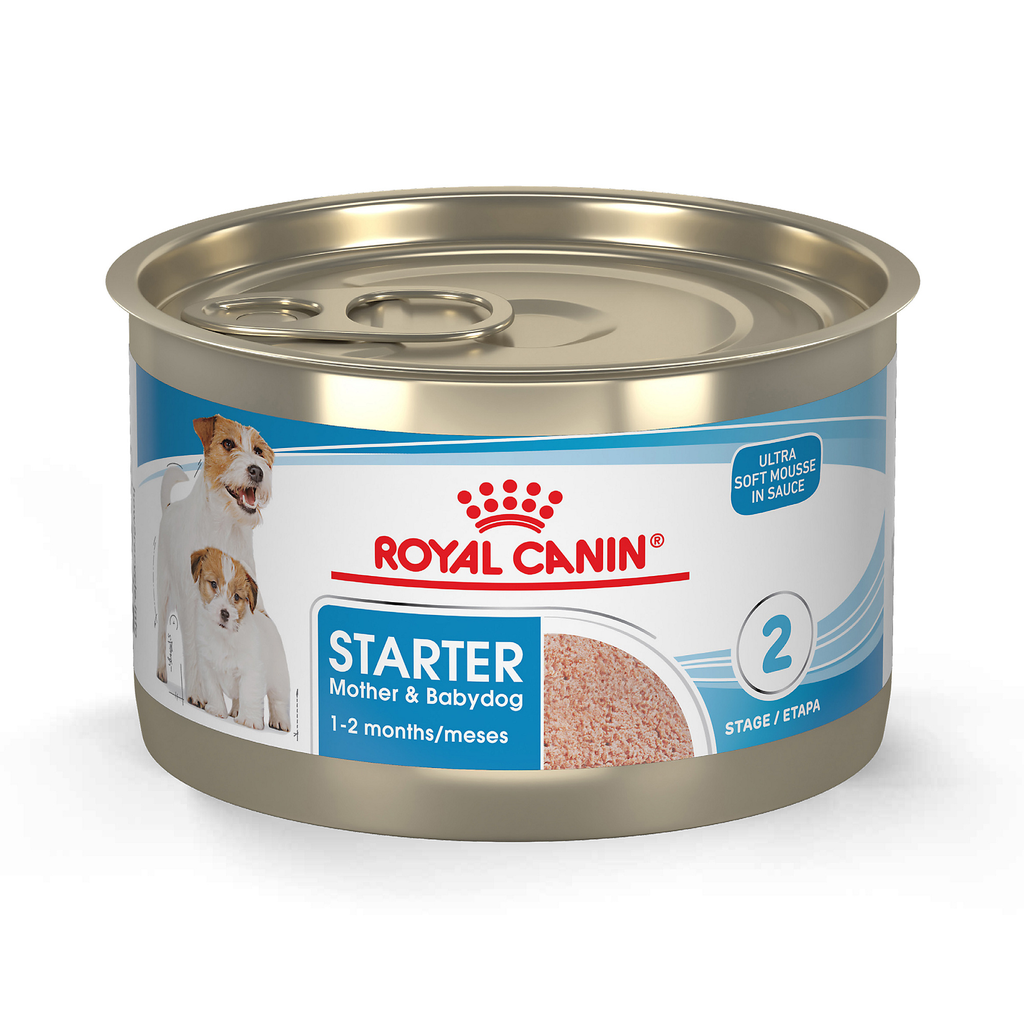 ROYAL CANIN SHN STARTER M&B DOG WET 0.154KG