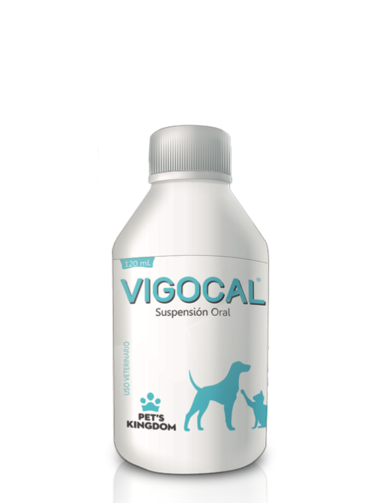 [C002298] VIGOCAL ORAL * 120 mL