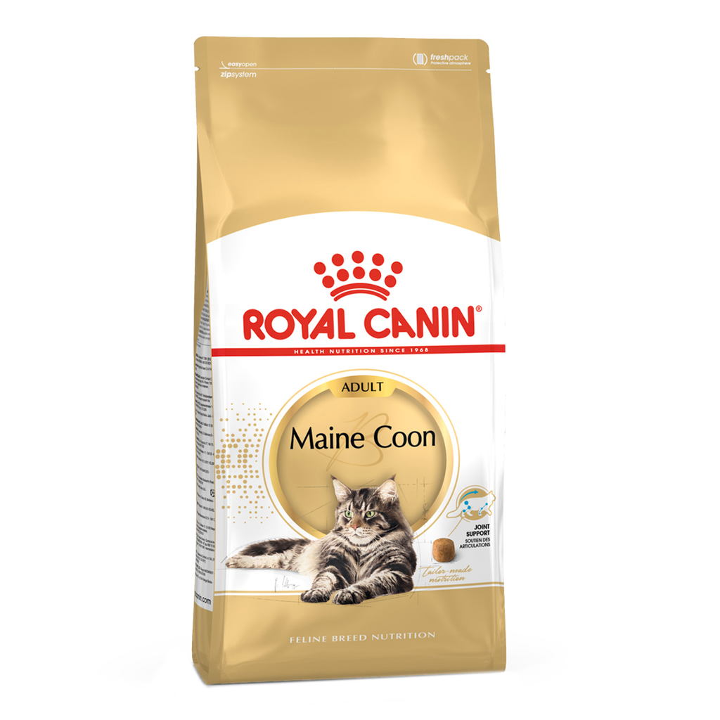 ROYAL CANIN FBN MAINE COON ADULT