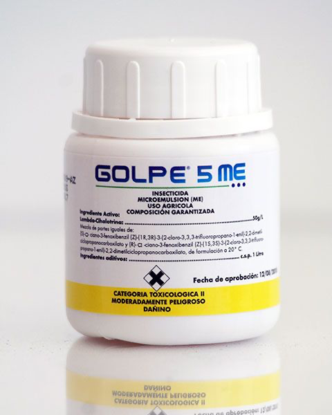 [C001237] GOLPE 5 ME