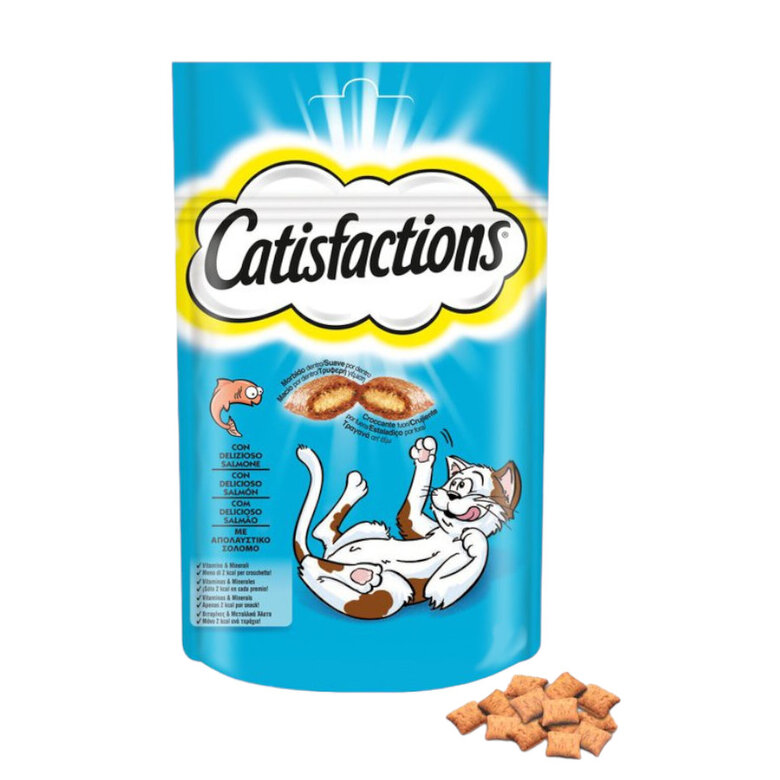 CATISFACTIONS * 60GR